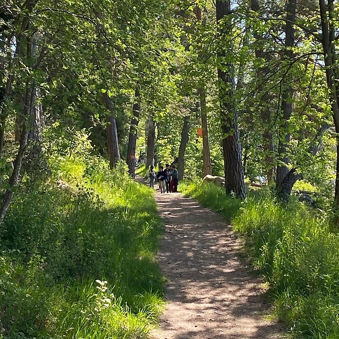 Vandringsstig med gröna träd längs sidorna.